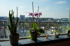 Nice apartment, less than 2 km from the historical center of Ghent. Superb view  Brussels, Belgium Apartment: 20% off (scaffold in front of terras) Entire rental unit vacation rental 3951890