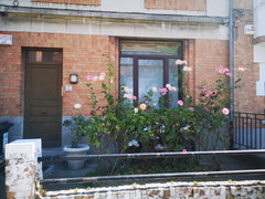 Étage complet dans une jolie maison schaerbeekoise offrant espace et calme, 2 ch Brussels, Belgium Schaerbeek : la maison des roses Private room in rental unit vacation rental 692323737922309293