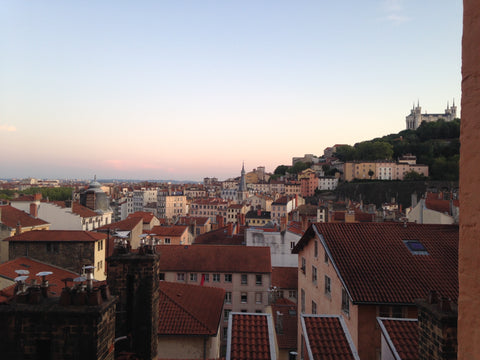 Appartement 2 pièces de 33 m2 très cosy au cœur des pentes de la Croix Rousse av Lyon, France * Sur les toits de la Croix Rousse * Entire rental unit vacation rental 39239752