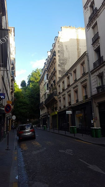 My cosy flat is available for your journey in the nicest city in earth :) It's a Paris, France Cosy flat at the foot of Sacré Coeur in Montmartre Entire rental unit vacation rental 13893805