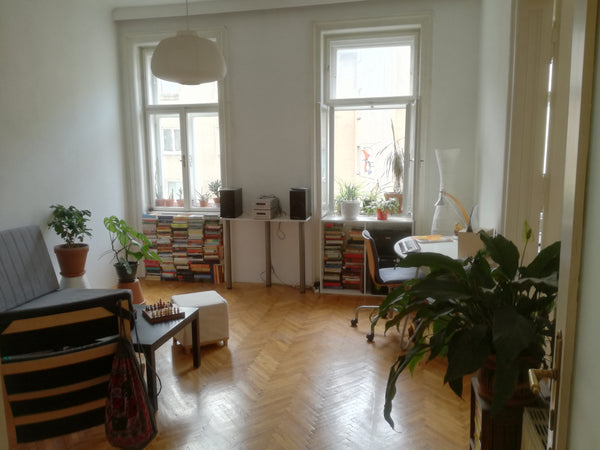 Nice and very quiet 63m² flat in the 18th district of vienna ( next to Schubertp  Quiet flat in the 18th district (sep.1st -17th) Entire rental unit vacation rental 19941977