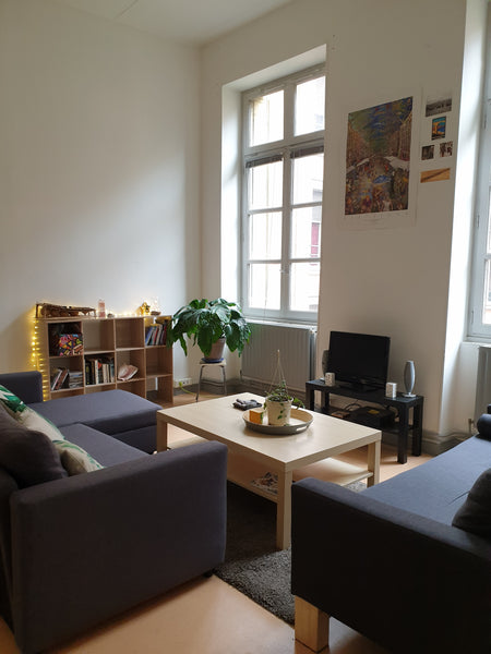 L'appartement est un grand T2, avec un grand séjour, une cuisine et une chambre  Lyon, France T2 Spacieux dans les pentes de la Croix Rousse Entire rental unit vacation rental 27512307
