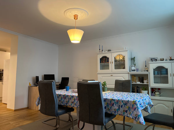 A very spacious sunny flat on the first floor with elevator, there is a big bedr Austria Central one bedroom flat with green yard view Entire rental unit vacation rental 698349909958051367