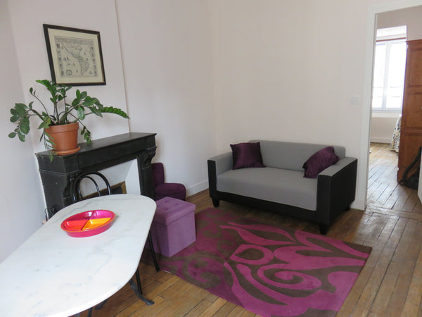 Charmant appartement (T2, 24 m2) à deux pas de Notre-Dame et du Panthéon, au cœu Paris, France 2 pièces au coeur du Quartier latin (5° arrdt) Entire rental unit vacation rental 19179052