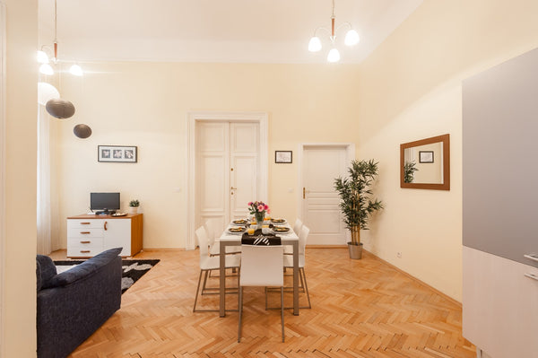 2 nice and big apartments in the heart of the city. <br />4 bedrooms + mezzanine Prague, Czechia 💙pragueforyou💙 Up to 20 pers, Prague downtown! Entire rental unit vacation rental 11428512