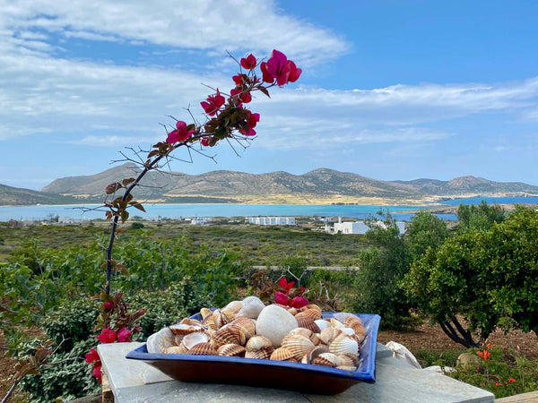 Ενα ευρύχωρο σπίτι με δύο υπνοδωμάτια ,άνετη τραπεζαρία και φιλόξενο σαλόνι !Πλή Greece Cosy sea view house Cycladic home vacation rental 40280158