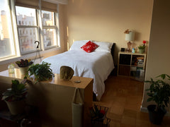 Studio apartment for rent - great for a small family or good friends traveling t New York, NY Rental unit in Brooklyn · ★4.57 · 2 bedrooms · 2 beds · 1 bath Entire rental unit vacation rental 9933667
