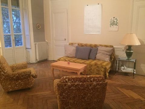Idéalement placé dans le centre de lyon, à dix minutes à pieds de la place belle Lyon, France Grande chambre appart avec balcon centre ville Private room in rental unit vacation rental 21907234