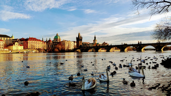 Accommodation in romantic apartment at Charles bridge for 2 Persons with Yamaha   Romantic apartment at Charles bridge with piano Entire rental unit vacation rental 585222292163839239