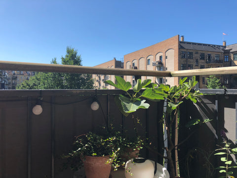 A perfect Copenhagen summer retreat. Near the main train station, Tivoli, meat p Denmark Central retreat in trendy, vibrant Vesterbro Entire rental unit vacation rental 36144259