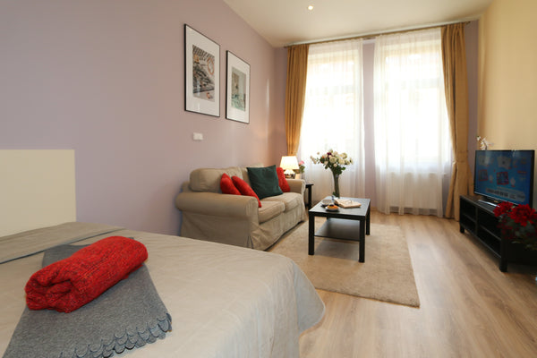 Studio apartment situated in Art Nouveau building reconstructed in 2016 on Mácho Mníšek pod Brdy, Czechia Machova 19, # 7 Entire rental unit vacation rental 41901669