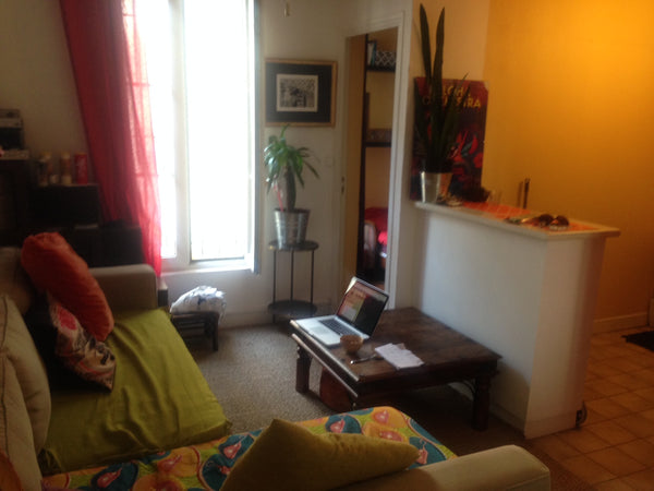Ce petit appartement, très cosy, se compose d'un salon, avec cuisine américaine, Paris, France mignon petit T2 à Paris 18ème Entire rental unit vacation rental 7105677