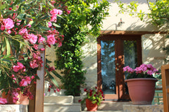 Wonderful little traditional villa located on a small agricultural village, 5 mi Athens, Greece Villa Sombra Limonero - 5 min drive to the beach Entire home vacation rental 4267354