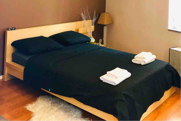 Appartement situé en plein cœur de Bruxelles, il se situe à une artère de la Gra Brussels, Belgium Flat cosy au centre névralgique de la Capitale. Entire rental unit vacation rental 39411927