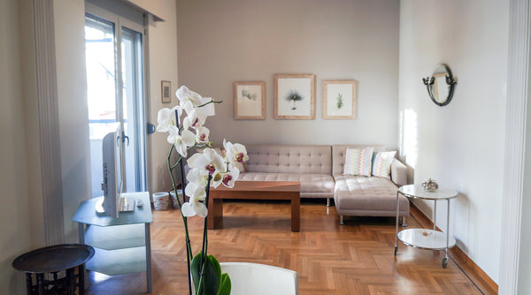 A stylish, fully renovated apartment right in the heart of Athens. A few minutes GR Elegant apartment for 7 people in downtown Athens Entire rental unit vacation rental 14664791