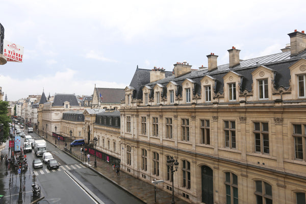 Grand appartement très lumineux (double salon - salle à manger, 3 chambres - un  Paris, France 110 m2, Centre Paris-Marais, 4 / 5 pers Entire rental unit vacation rental 3079808