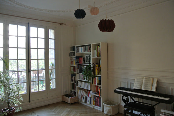 We are five roommates in a 120sq.m. flat. and daily enjoy it. It is in a typical Paris, France a big room in a great flat. Private room in rental unit vacation rental 8849796