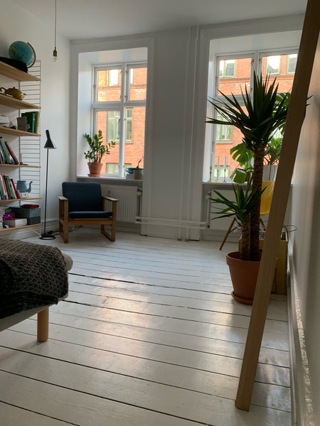 Cozy aparment with the best location on Nørrebro! Close to shops, green areas an Copenhagen, Denmark Cozy place with central location Entire rental unit vacation rental 35542338
