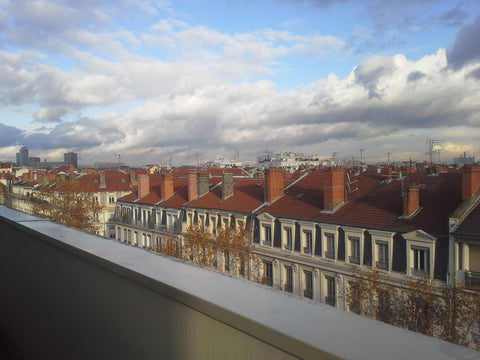 Appartement situé juste au dessus du métro Jean Macé (ligne B), à côté du tram T Lyon, France Logement entier fête des Lumières Entire rental unit vacation rental 22007898