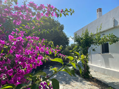 Pera Casa is a beautiful villa located in the heart of Hersonissos, one of the m Heraklion, Greece Pera Casa Entire villa vacation rental 661629023278322435