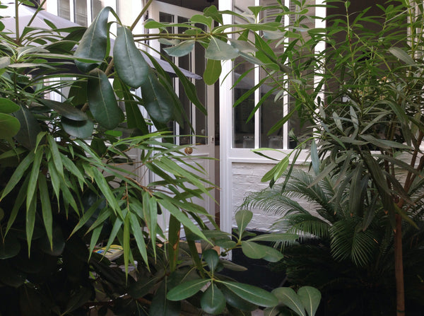 Appartement de style atelier, une ancienne galerie d'art aménagée par un archite Paris, France Charmant appartement avec terrasse proche Pigalle Entire rental unit vacation rental 23268899