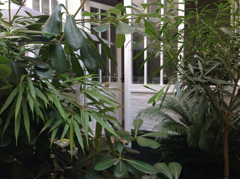 Appartement de style atelier, une ancienne galerie d'art aménagée par un archite Paris, France Charmant appartement avec terrasse proche Pigalle Entire rental unit vacation rental 23268899