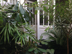 Appartement de style atelier, une ancienne galerie d'art aménagée par un archite Paris, France Charmant appartement avec terrasse proche Pigalle Entire rental unit vacation rental 23268899