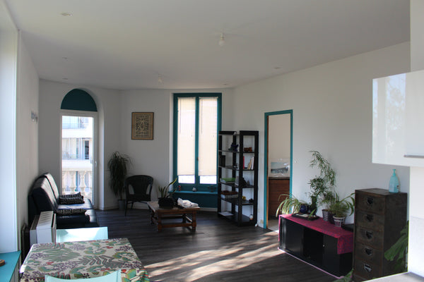 Très proche des grands sites touristiques lyonnais, venez séjourner dans mon log Villeurbanne, France Appartement cosy à proximité des transports Entire rental unit vacation rental 52678411