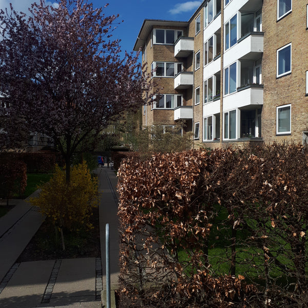 This 60m2 ground floor apartment consists of a living/dining room with 55