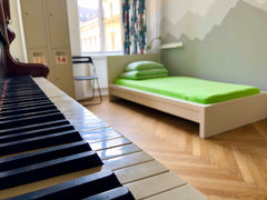 Private room for 3 persons located on the third floor of the historical building Prague, Czechia R11: Private room for 3 pax decorated with piano Private room in serviced apartment vacation rental 584724159870604517