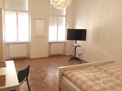 Die Wohnung ist eine typische Zimmer, Küche, Kabinett - Wohnung wie es in Wien d Vienna, Austria Haus "Johnstrasse" - Wohnung 18 Entire loft vacation rental 38175481