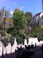 Located on a famous street of Montmartre (and home of Van Gogh), our cozy apartm Mumbai, India Charm on top of Montmartre Private room in rental unit vacation rental 2625467