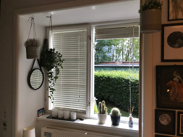 Located very close to the City center in a nice quiet area of Copenhagen. Cozy n Copenhagen, Denmark Live as a local in CPH Private room in rental unit vacation rental 36013912