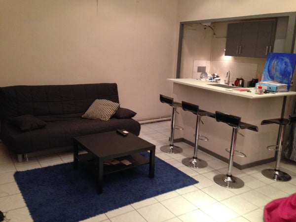 Grand studio composé d'un grand salon avec canapé convertible en lit 2 places, d Lyon, France Studio 40m2 plein centre Entire rental unit vacation rental 9226773