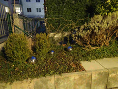 Super gelegene, zentrumsnahe Wohnnung mit allen Geschäften des täglichen Gebrauc  Toll gelegene Wohnung Entire rental unit vacation rental 38033518