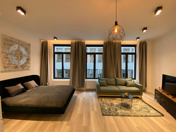 Nouveau Studio 2022 à 800m de la Grand Place <br /><br />New Studio 2022 800m fr Brussels, Belgium New @ the Grand Place ** Entire rental unit vacation rental 599699502795231227
