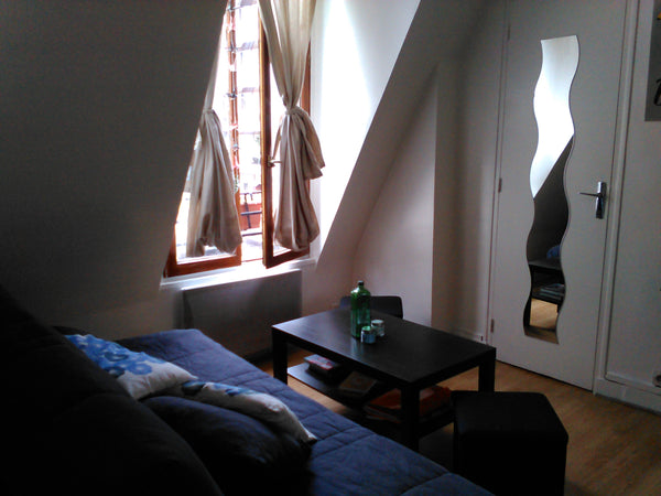 Charming studio 18m2 at Montmartre. Mean saloon with a sofa/bed for two people.  Paris, France Charming studio 18m2 at Montmartre Entire rental unit vacation rental 9899709