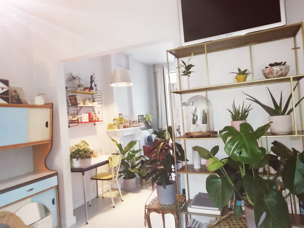 Cosy house on walking distance from Ghent centre.<br />Bedroom, bathroom, terrac Ghent, Belgium Cosy retro house with terrace and garden Entire townhouse vacation rental 19809622