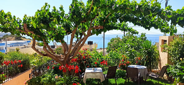 Great view is seen from our apartments which are set 300m by the beach.Our place Keratokampos, Greece Despoina Apartments 01 Entire rental unit vacation rental 28307833