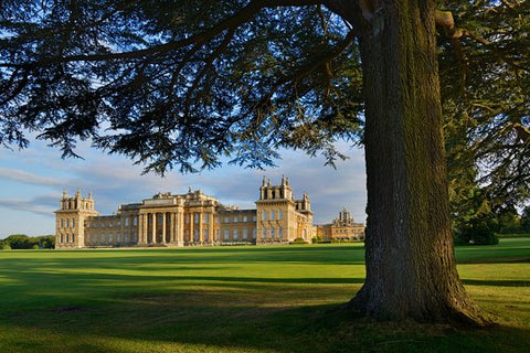 Blenheim Palace Private Tour From London  Private Tours and Travel Guide Europe London CITY London Destination Tour Europe London CITY London