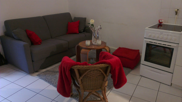 Appartement proche de la place des Terreaux, au 2ième étage d'un immeuble ancien  T2 à deux pas des Terreaux! Entire rental unit vacation rental 8916834