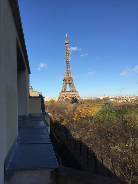 Overlooking the famous Champs de Mars, this 3 bedroom apartment is an amazing ex Paris, France Amazing 3 Bedroom Apartment Facing the Champs Mars Entire rental unit vacation rental 16074832