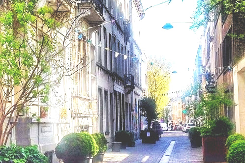 Magnifique spacieux studio à l'Avenue Toisoin d'Or ixelles avec jardin <br /><br  Magnifique Studio Avenue Toisoin d'or 2P Entire rental unit vacation rental 40200761