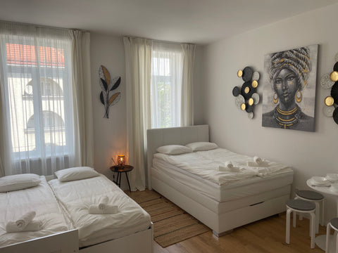 Apartment is completely for you ! Very cosy, bright and beautiful 1 apartments j Vienna, Austria Black Pearl - just 15 mit from city center ! Entire rental unit vacation rental 649316968207783497