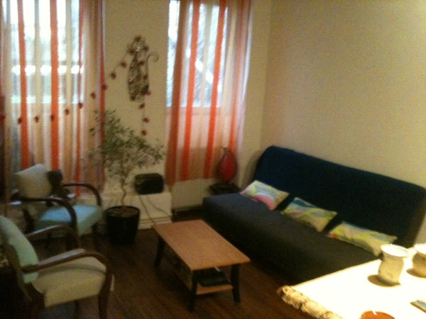 Il est situé sur les quais de Saône, à quelques minutes à pied  du Vieux Lyon. I Lyon, France Joli T2 sur les quais de Saône Entire rental unit vacation rental 11035529