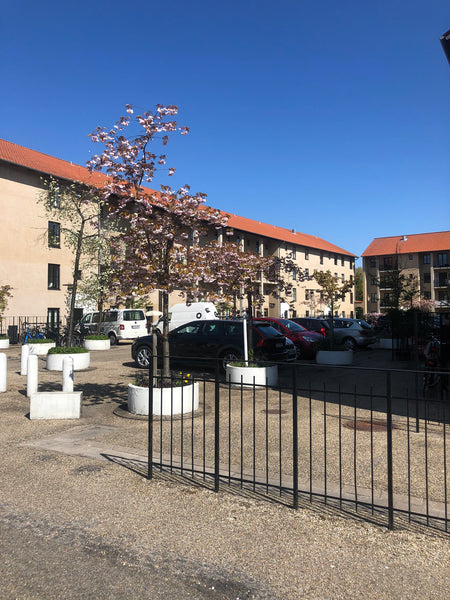 The flat is in a nice quiet area, overlooking a green garden and close to train/ Frederiksberg, Denmark My favorite place in the city Entire rental unit vacation rental 43484742