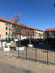 The flat is in a nice quiet area, overlooking a green garden and close to train/ Frederiksberg, Denmark My favorite place in the city Entire rental unit vacation rental 43484742