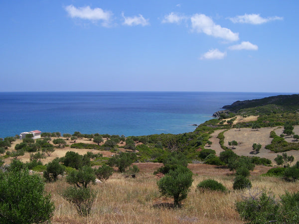 Very near to Diaphani, port of the magical, traditional village of Olympos<br />  Elaeon Cycladic home vacation rental 24212700