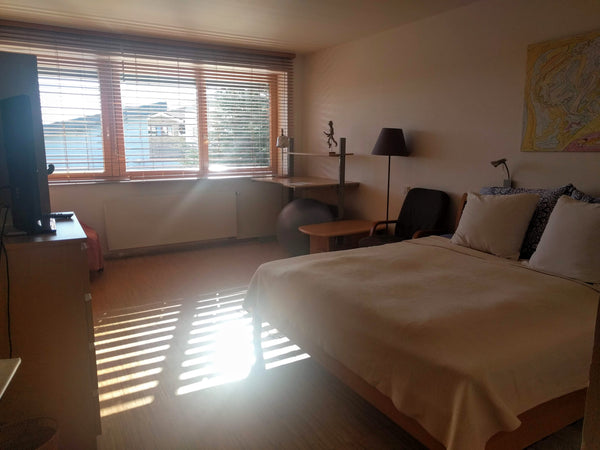 Cozy guest room in a splendid family villa. Sunny bedroom with new furniture and Horoměřice, Czechia Spacious room 15 mins from the airport Private room in villa vacation rental 36963465