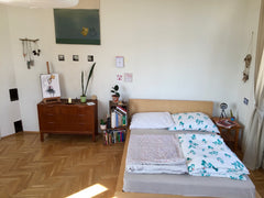 Hallo und willkommen in der Talgasse 1! In unserer hübschen Altbauwohnung findet Vienna, Austria Wunderschönes großes Zimmer in Altbauwohnung Private room in rental unit vacation rental 23831312